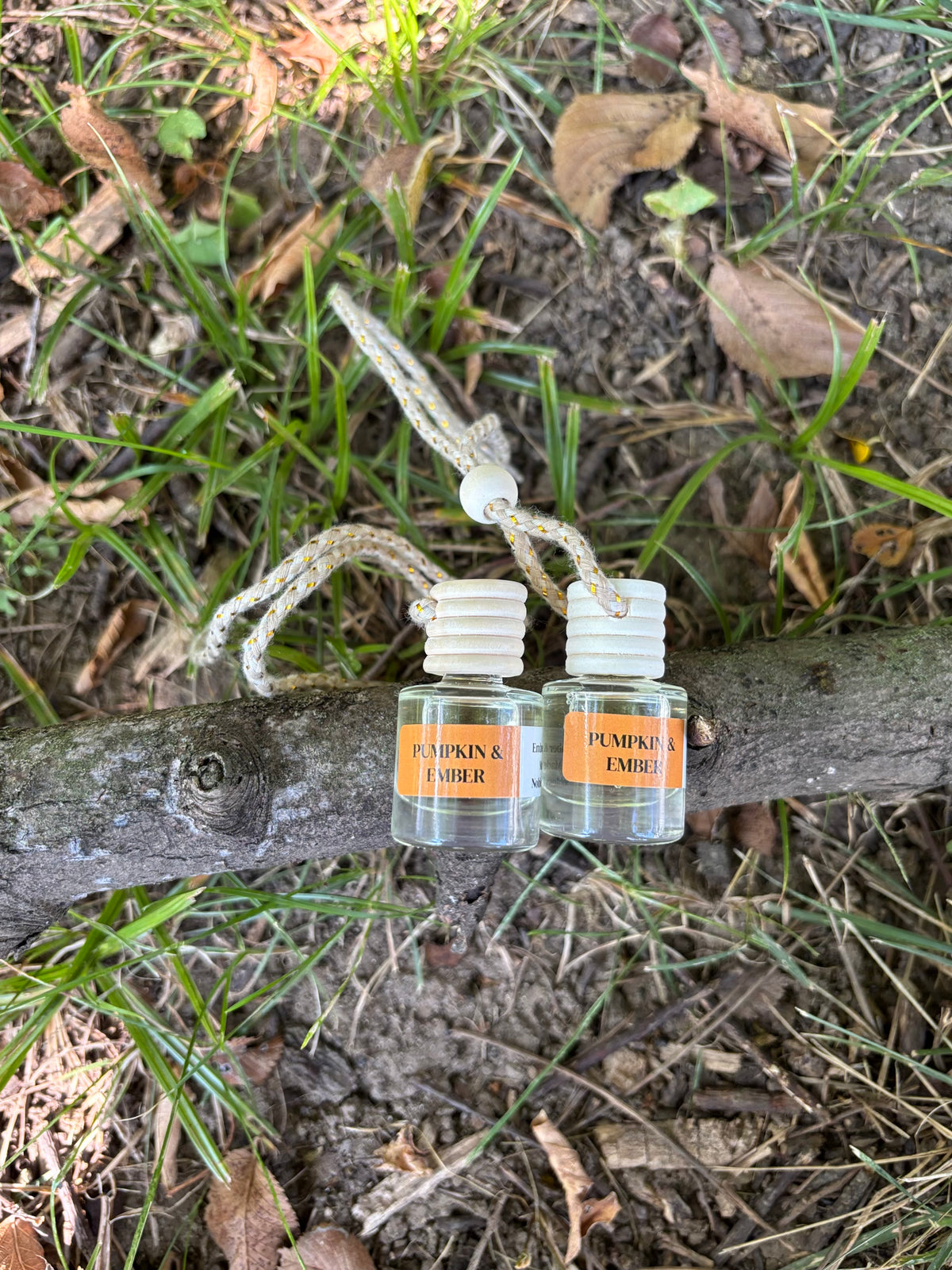PUMPKIN & EMBER CAR DIFFUSER (SET OF 2)