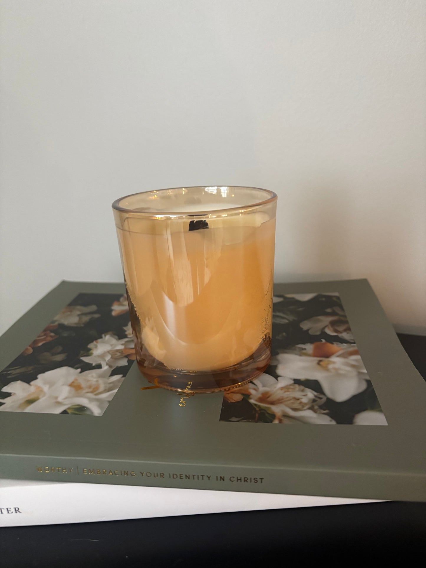 BIG SUR + FIG CANDLE