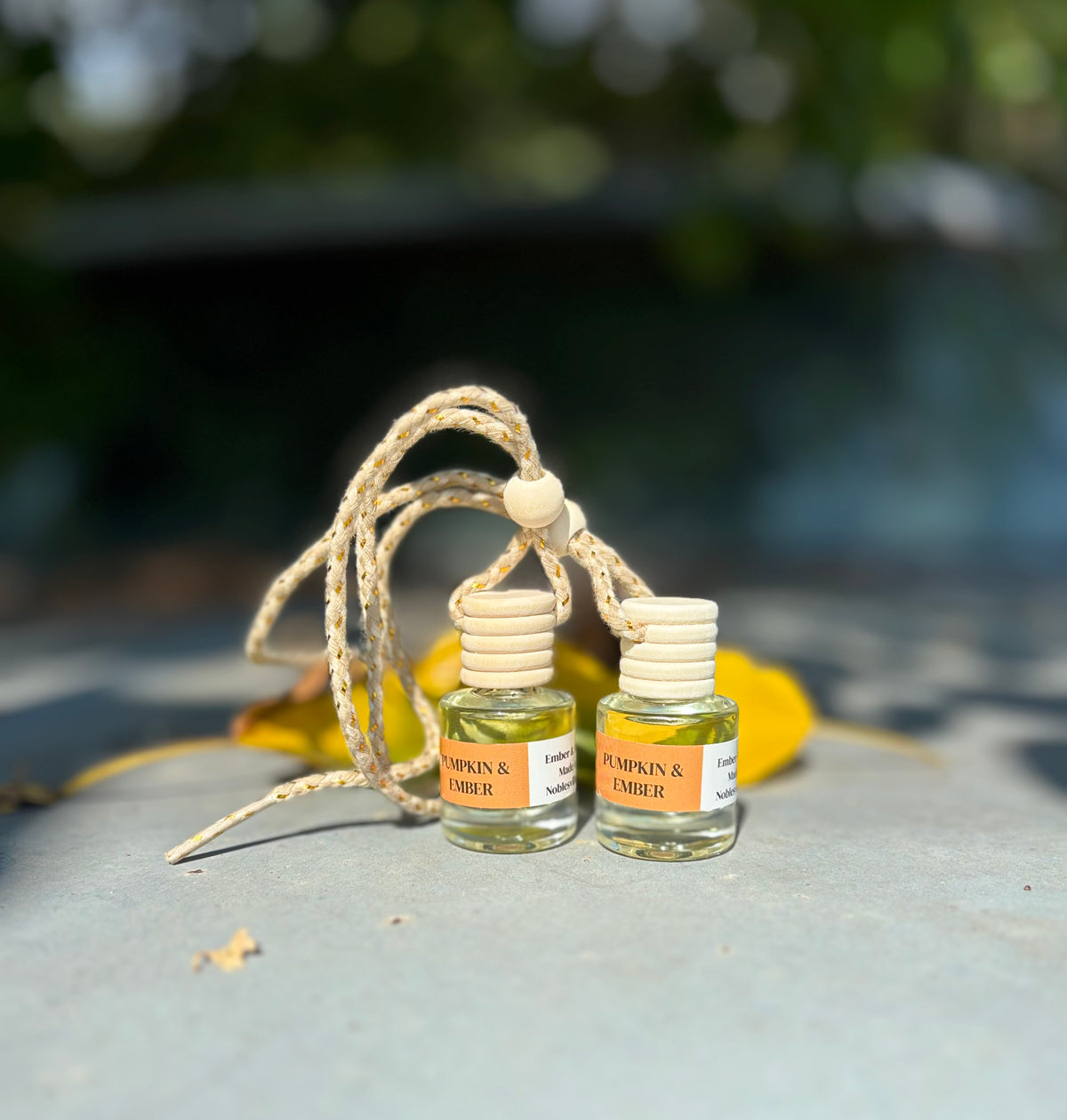 PUMPKIN & EMBER CAR DIFFUSER (SET OF 2)