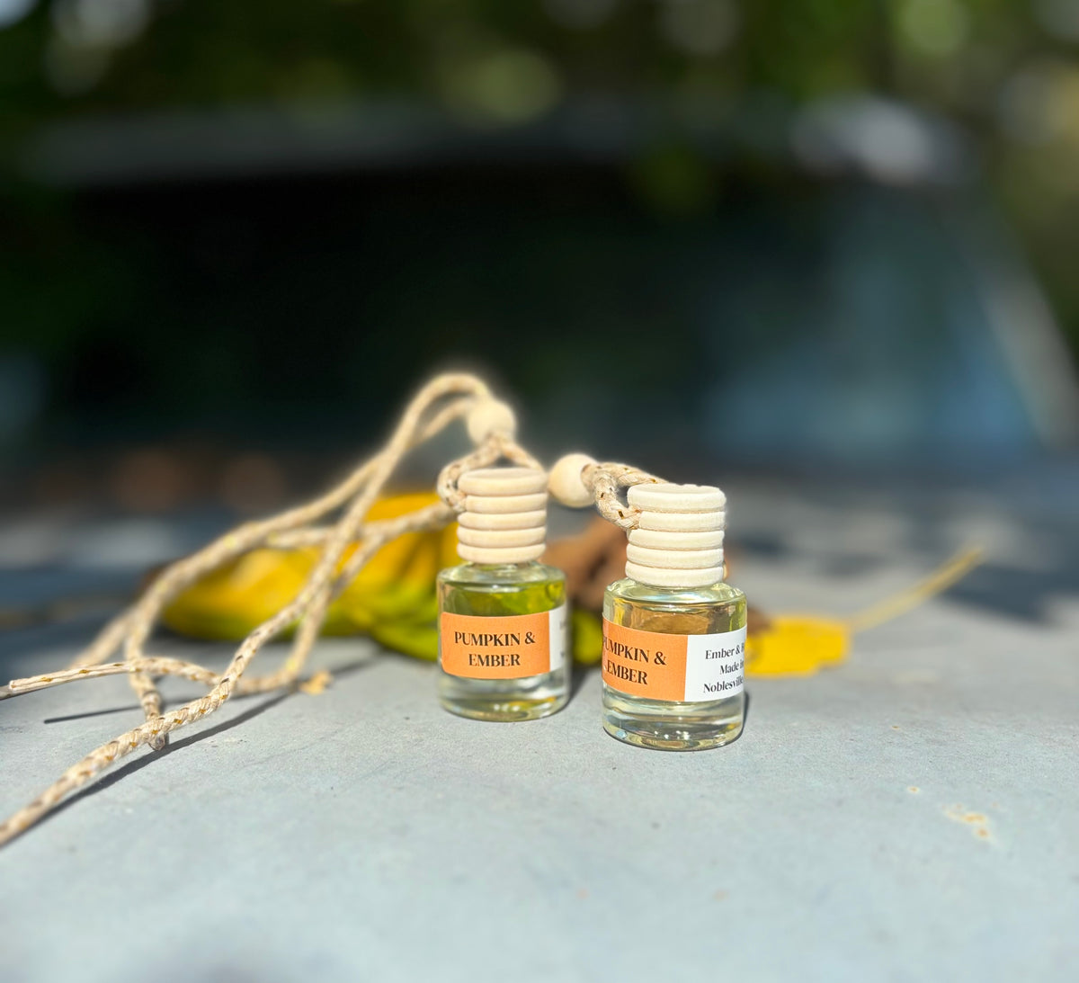 PUMPKIN & EMBER CAR DIFFUSER (SET OF 2)