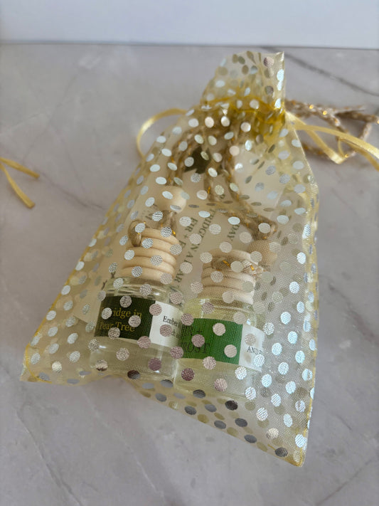 HOLIDAY CAR DIFFUSER DUO SET