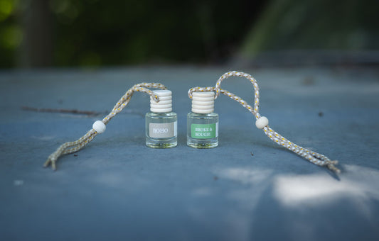 PICK 2 SCENTS CAR DIFFUSER DUO